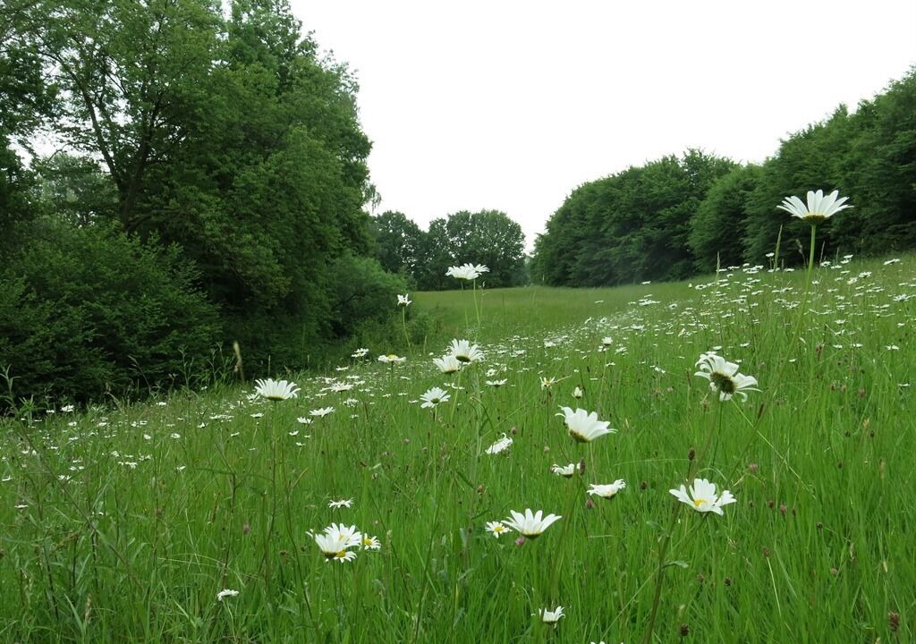 Photo of Outdoor in Eclaibes