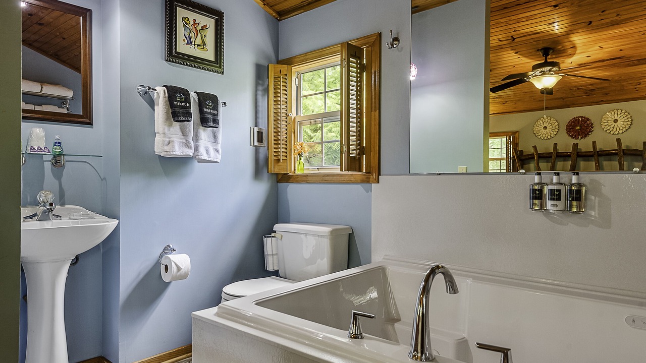 Photo of Bathroom in Eureka Springs Historic District