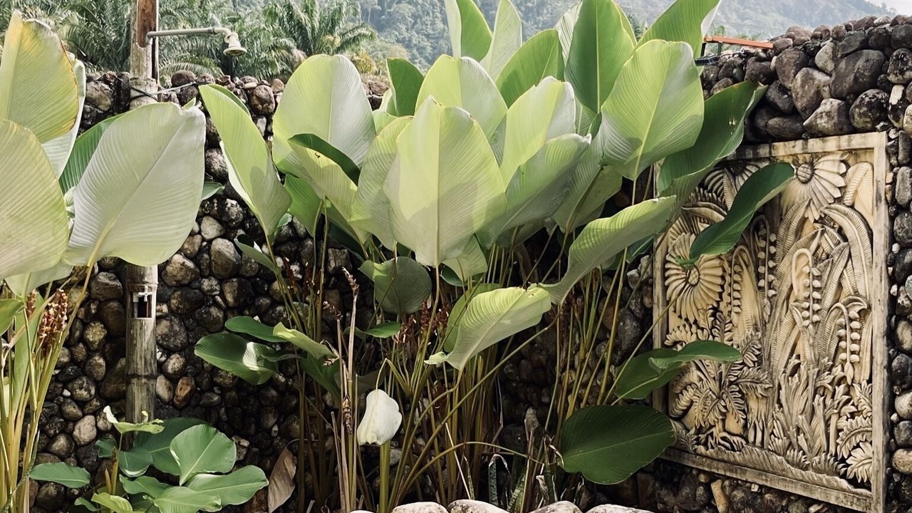 Photo of Others in Kampung Mendok