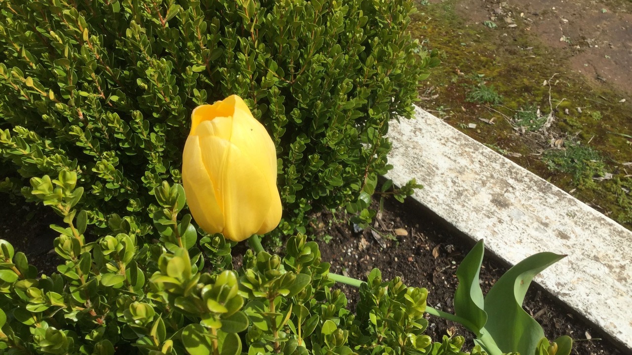 Photo of Outdoor in Angaston