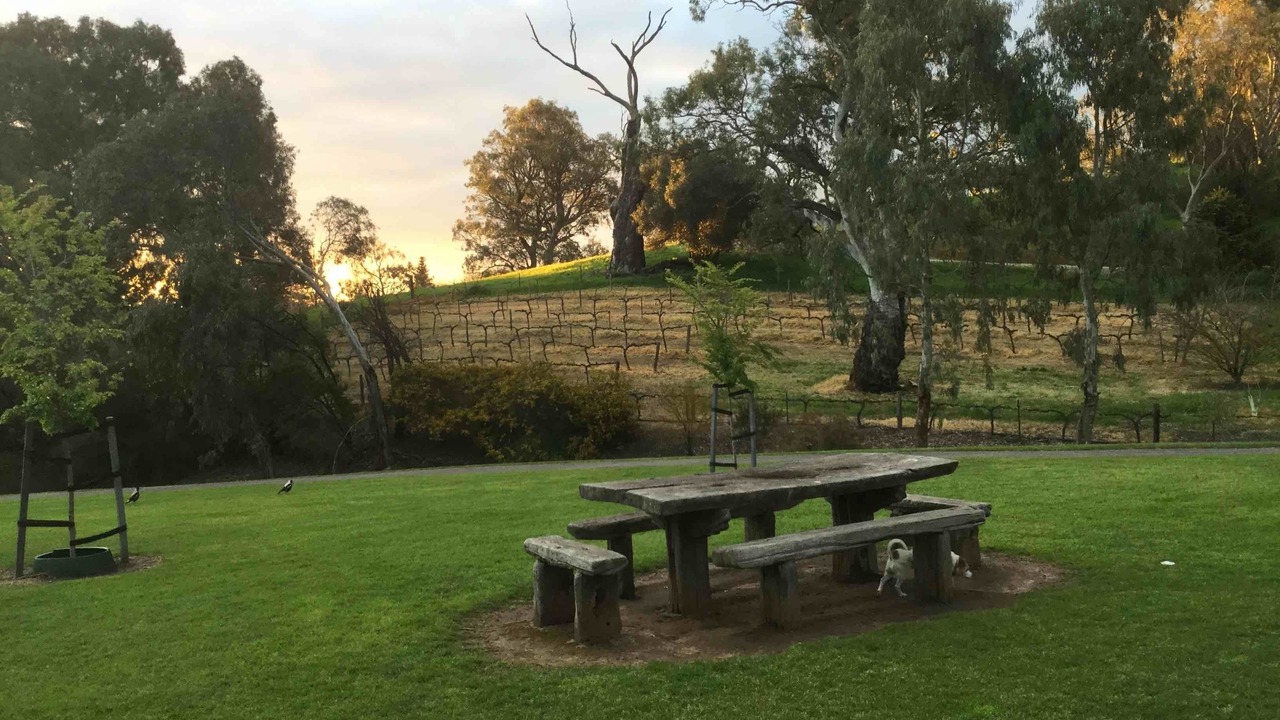 Photo of Outdoor in Angaston