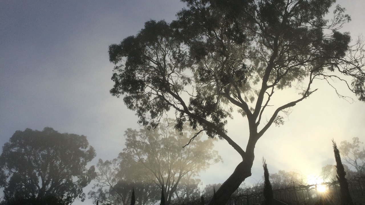 Photo of Others in Angaston