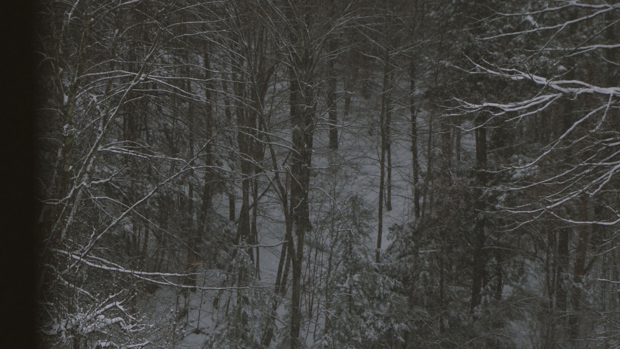 Photo of Outdoor in Bellows Falls