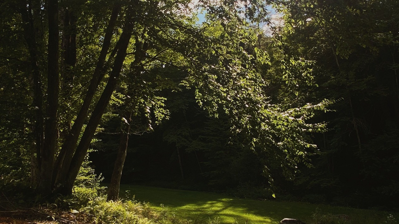 Photo of Outdoor in Bellows Falls