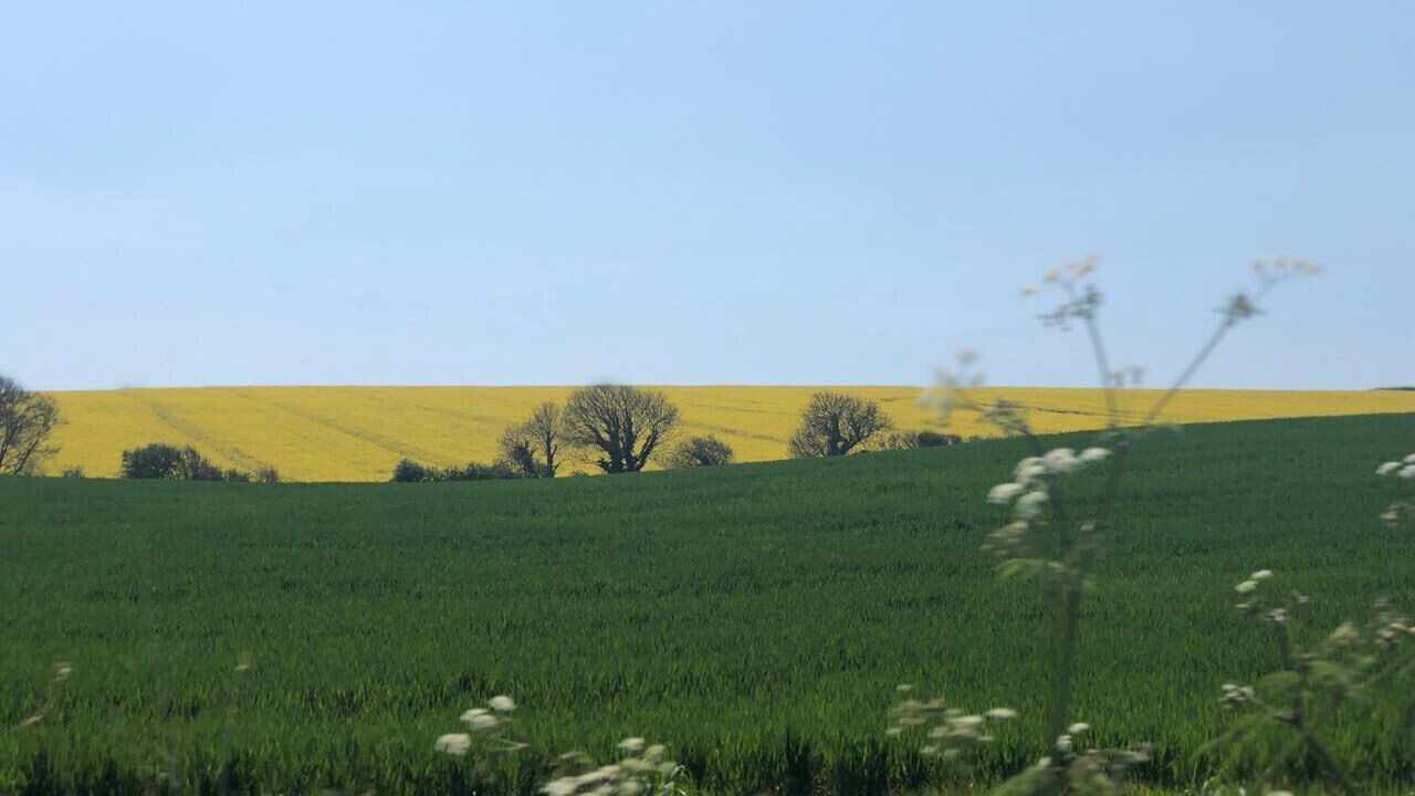 Photo of Others in Sherborne