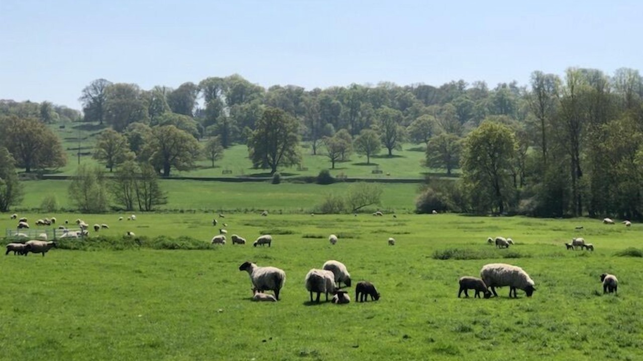 Photo of Others in Sherborne