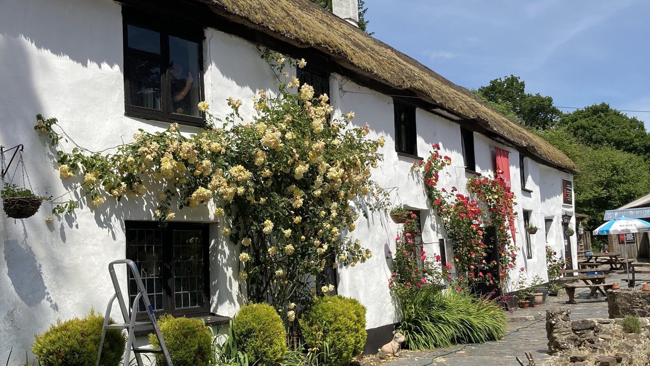 Photo of Outdoor in Heligan