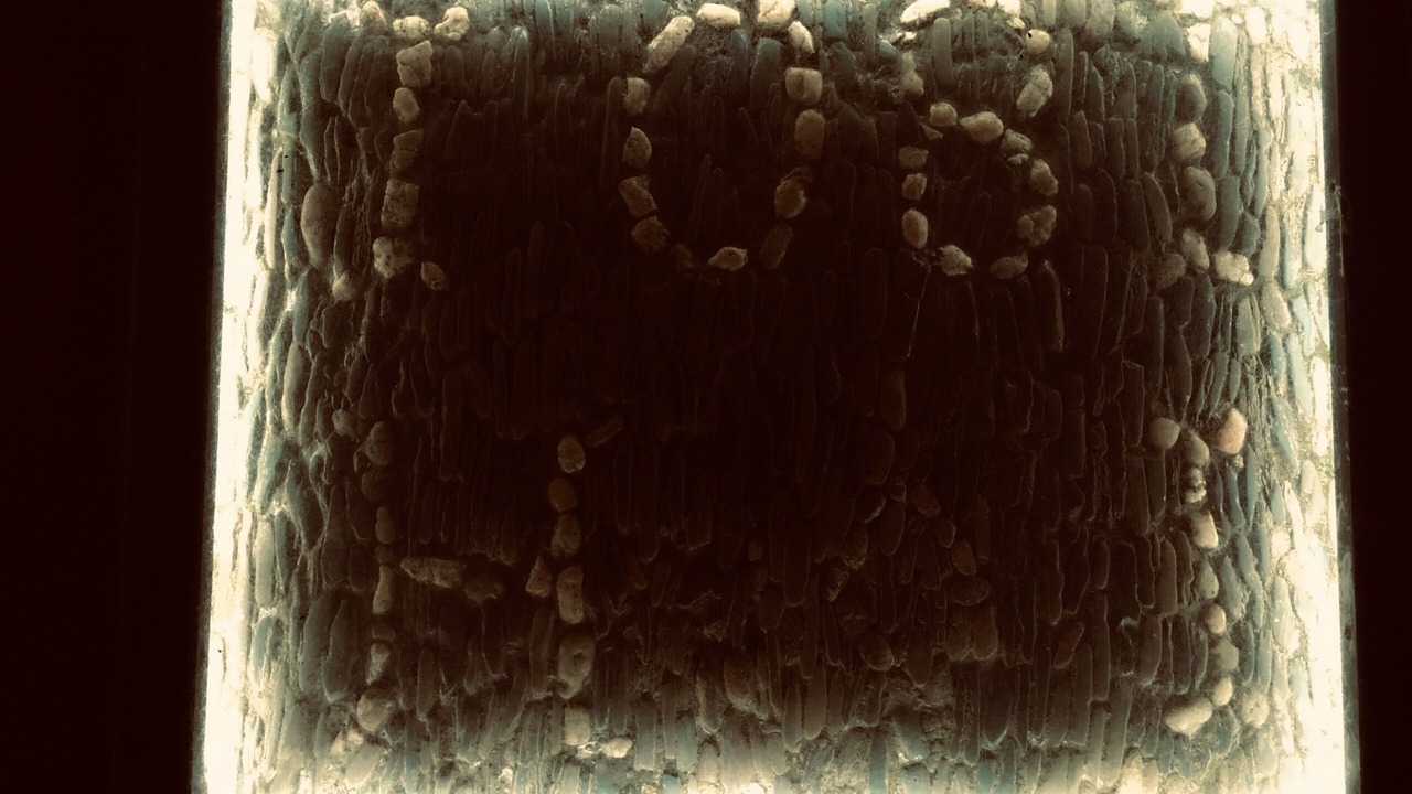 Photo of Others in Heligan