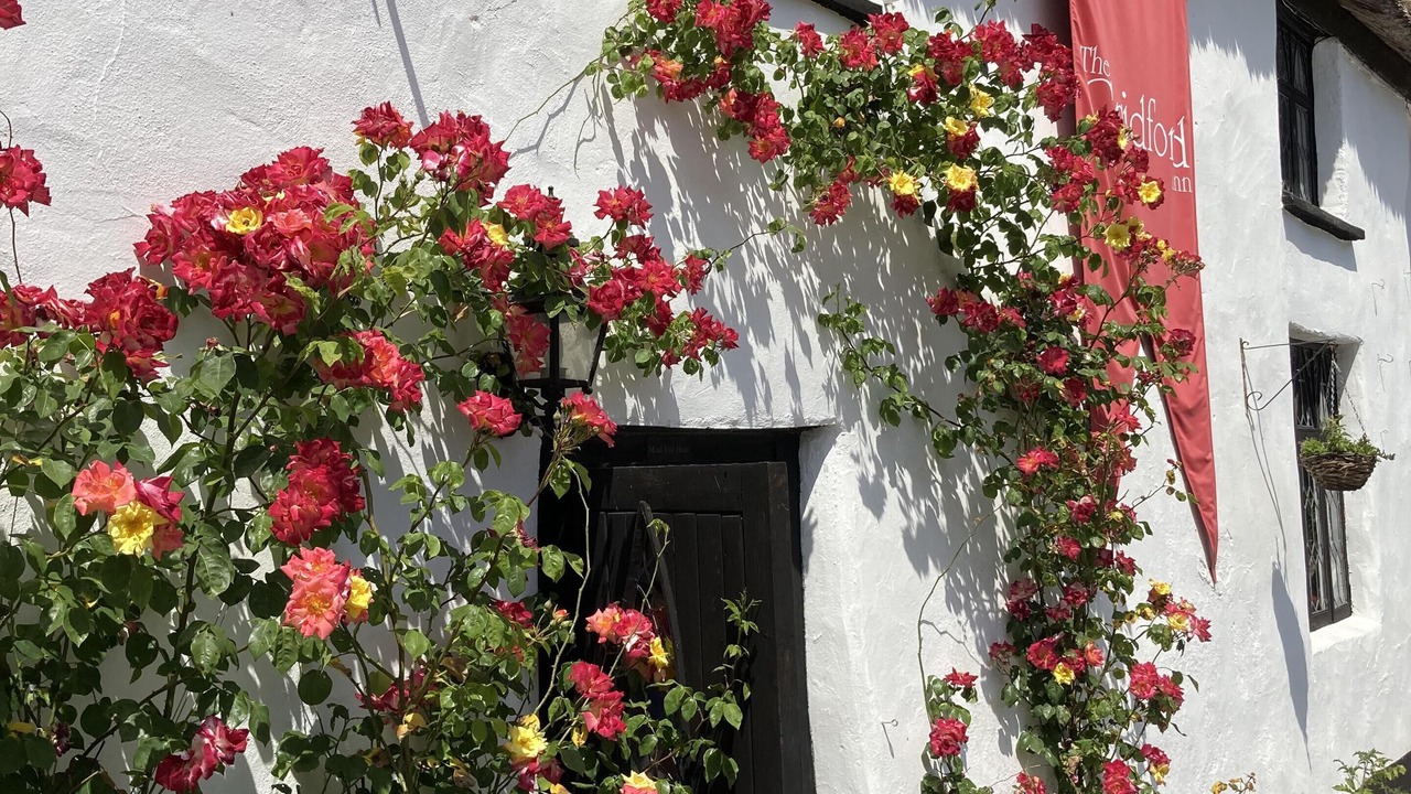 Photo of Outdoor in Heligan