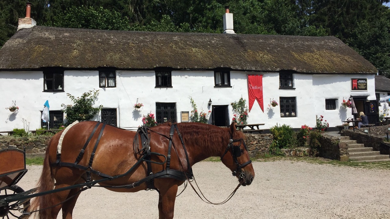 Photo of Outdoor in Heligan