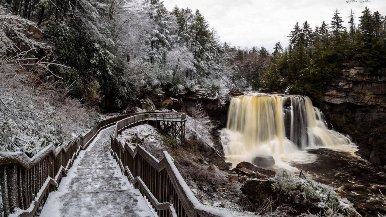 Photo of Others in Canaan Valley