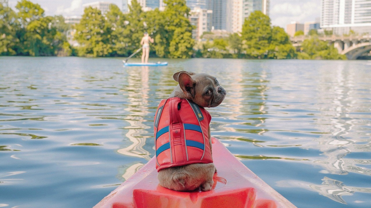Photo of Others in Downtown Austin