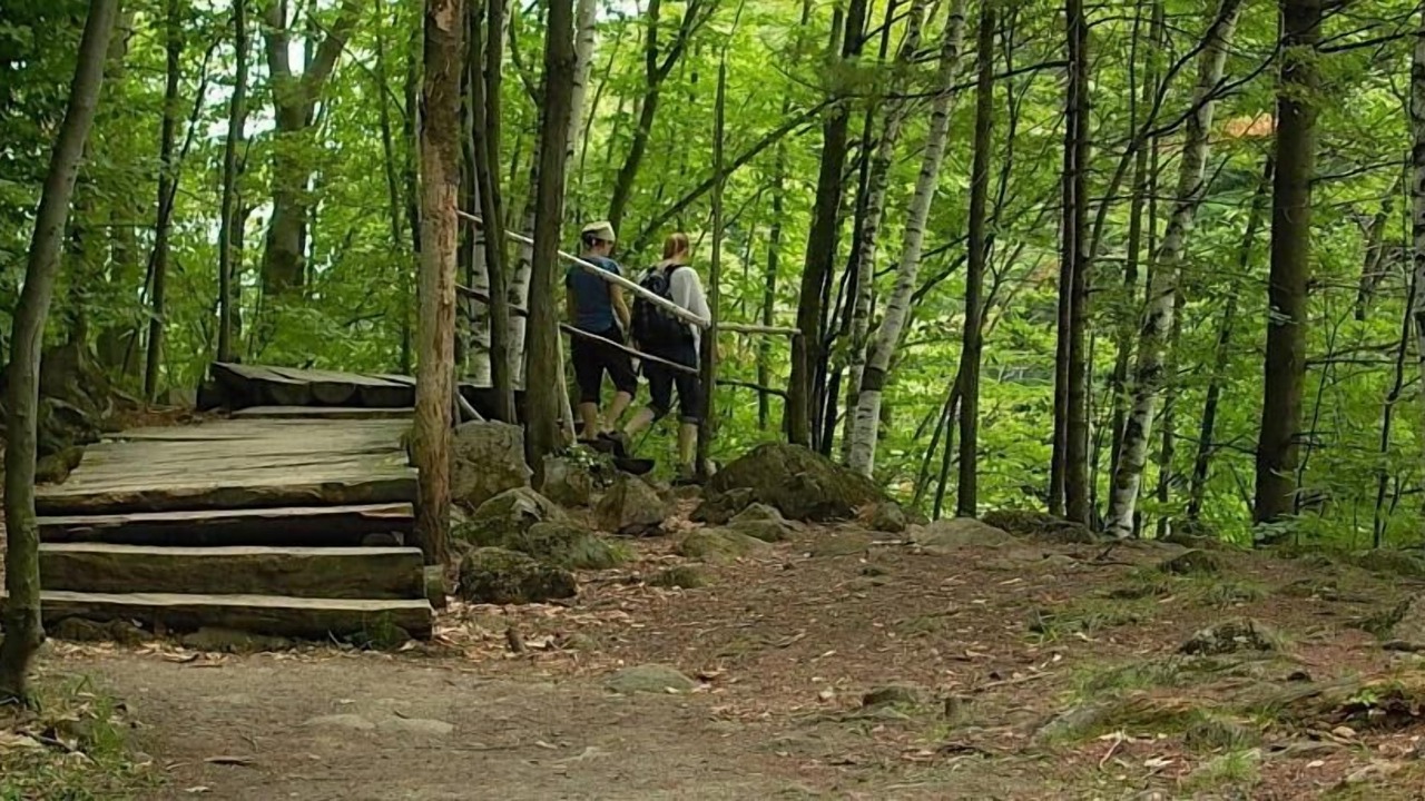 Photo of Outdoor in St. Jerome