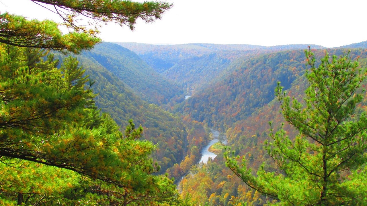 Photo of Others in Wellsboro