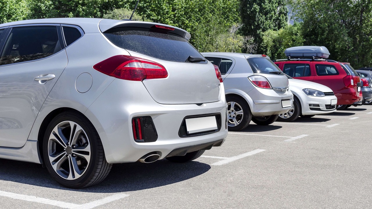 Photo of Others in Thendara