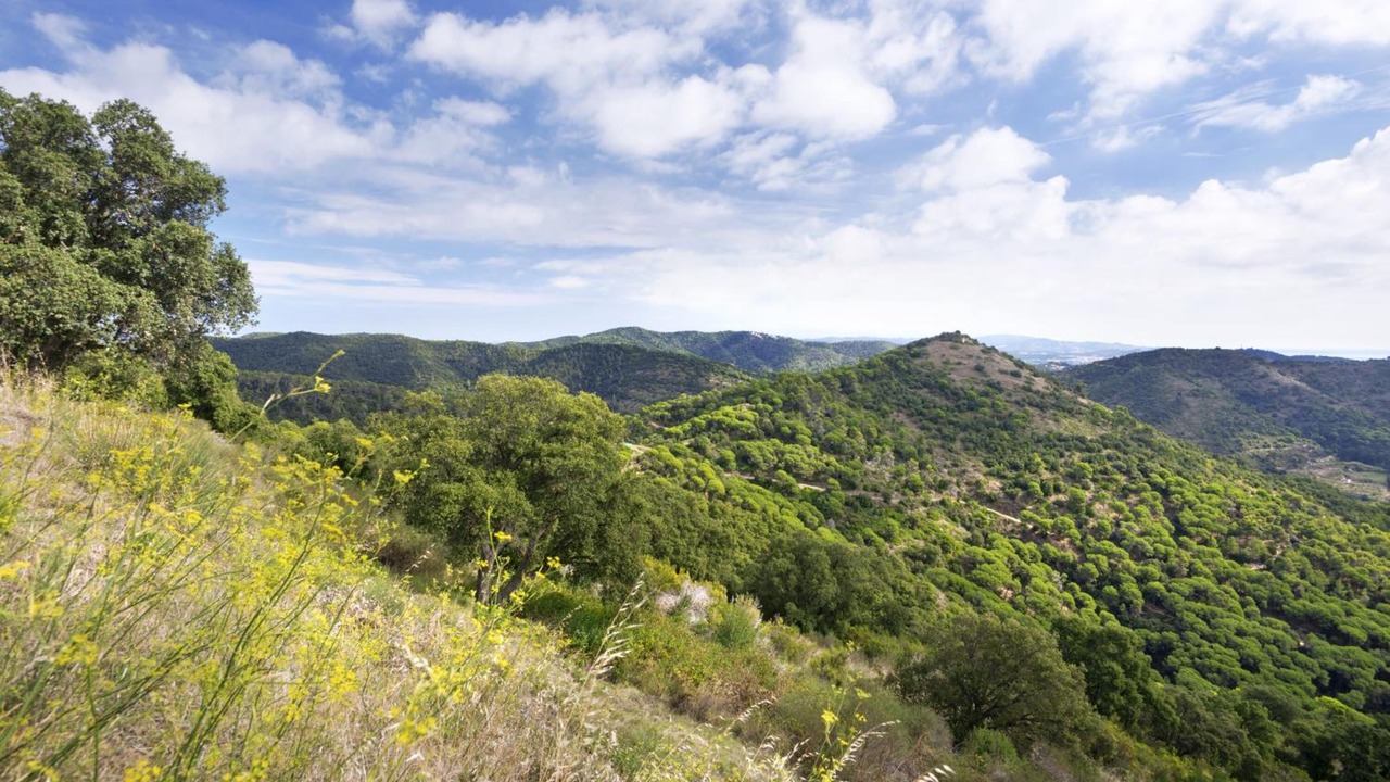 Photo of Outdoor in Pineda de Mar