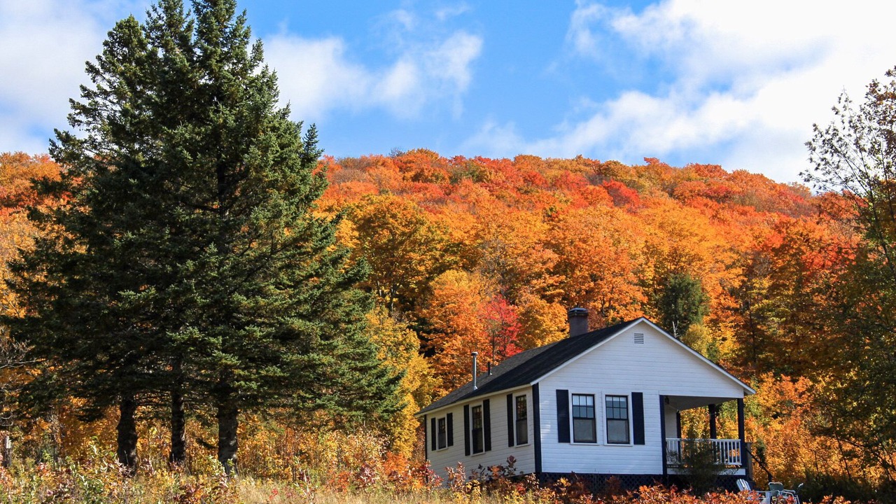 Photo of Others in Greensboro