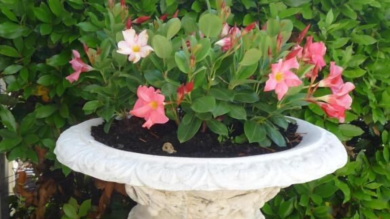 Photo of Outdoor in Margaux