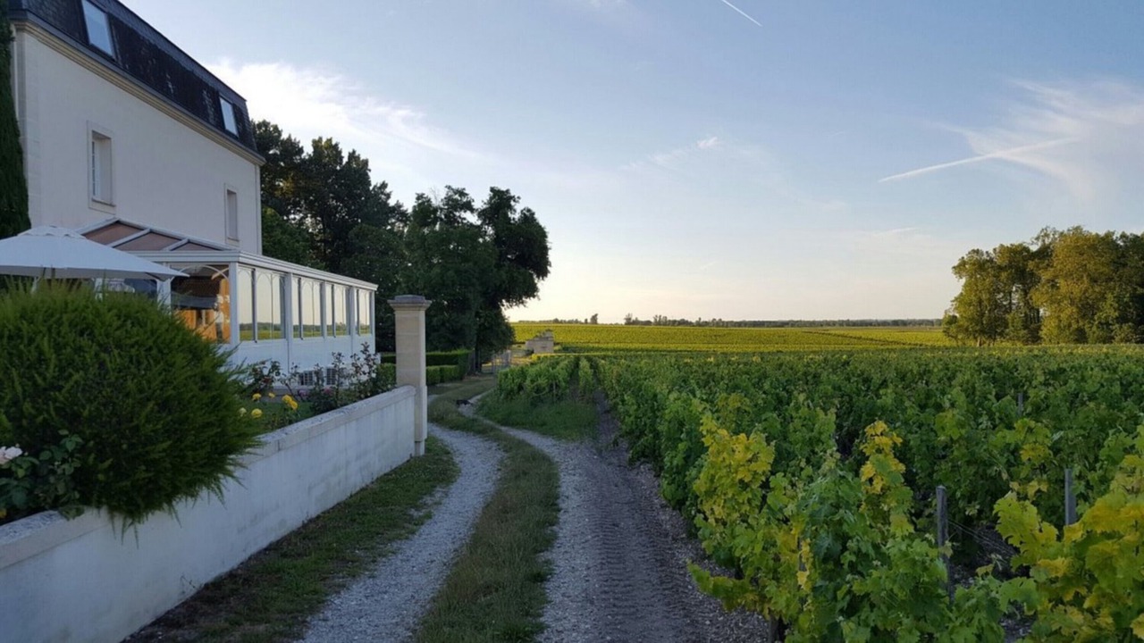 Photo of Outdoor in Margaux