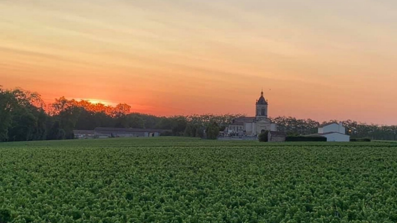 Photo of Others in Margaux