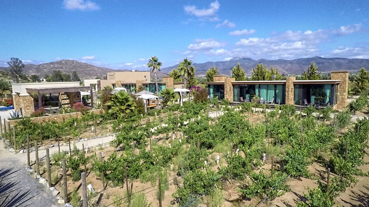 Photo of Bedroom in Valle de Guadalupe