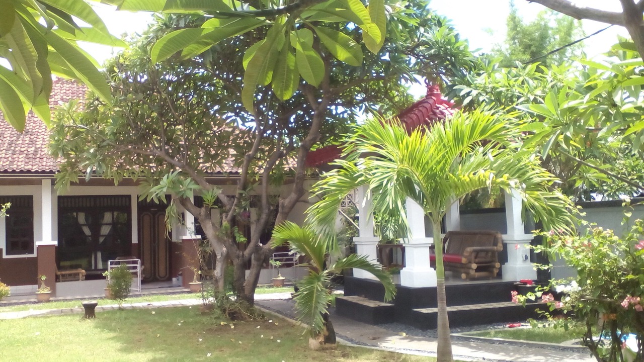 Photo of Outdoor in Lovina