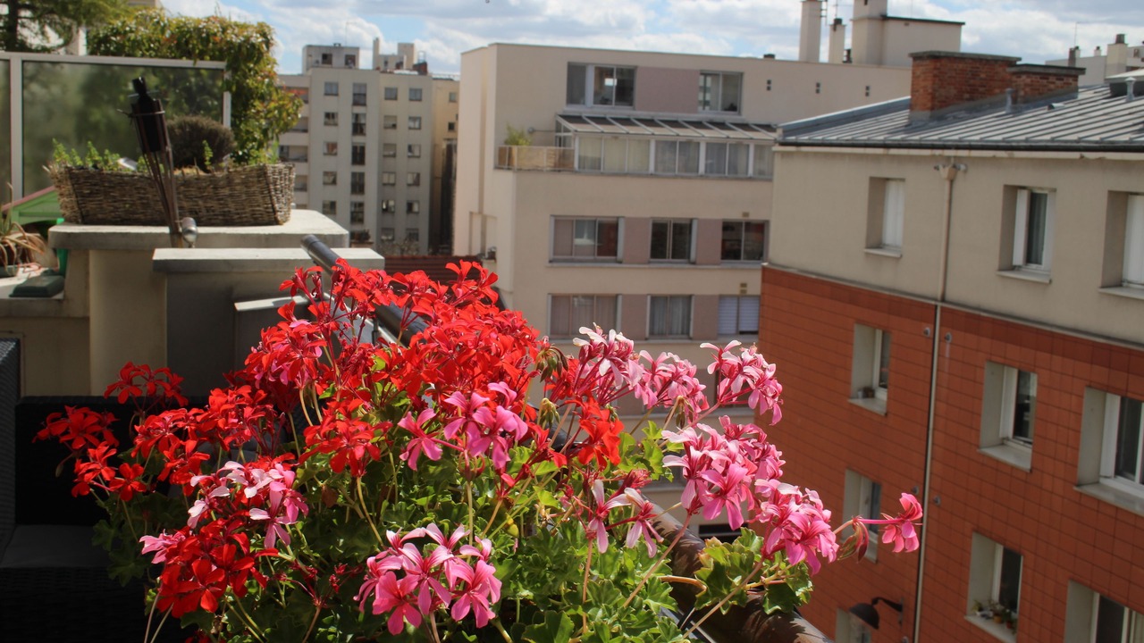 Photo of Patio Balcony in Charonne