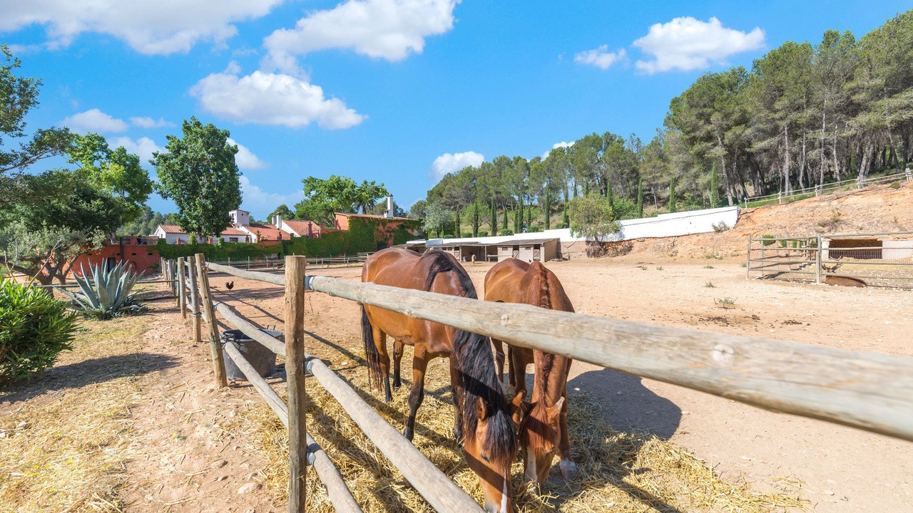 Photo of Outdoor in Canaletes