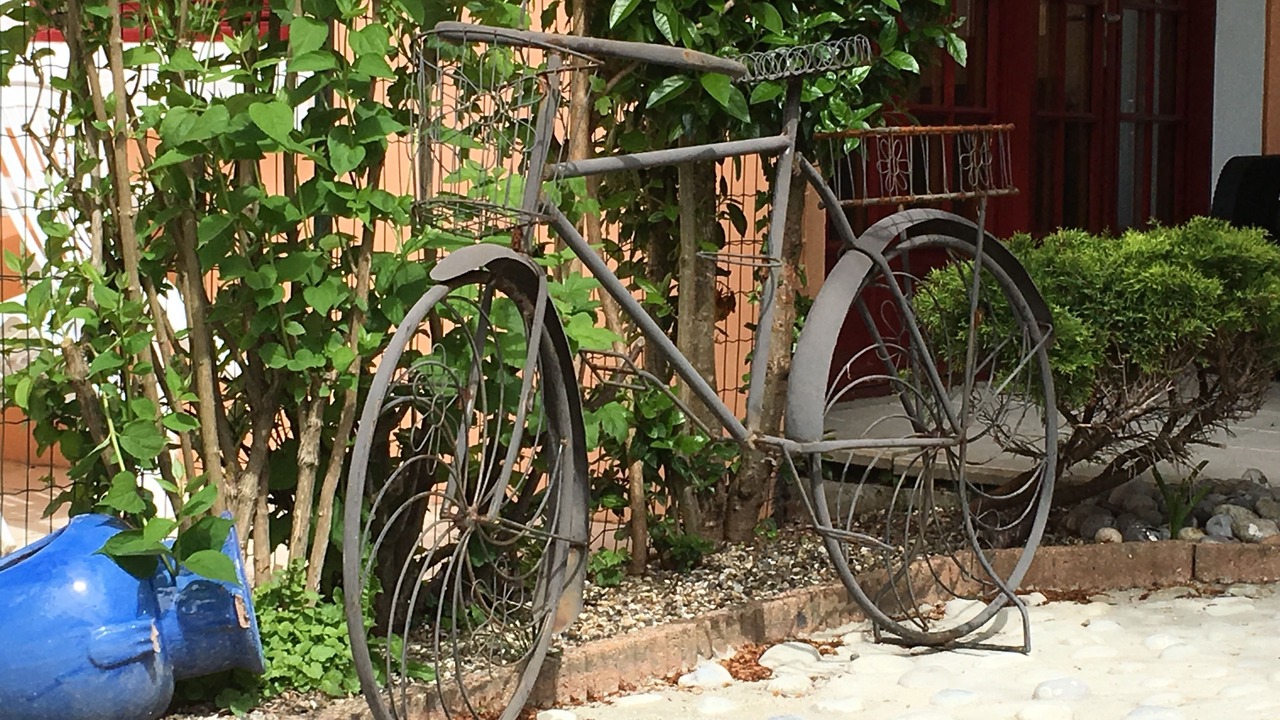 Photo of Outdoor in Etaples