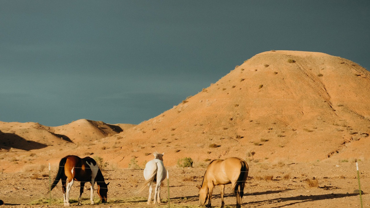 Photo of Outdoor in Hanksville