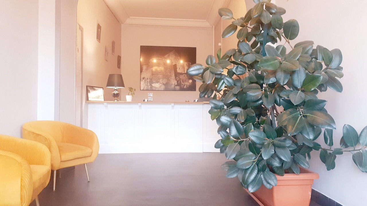 Photo of Others in Tournon-sur-Rhone