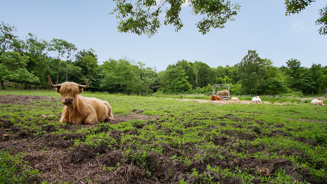 Photo of Outdoor in Gudhjem