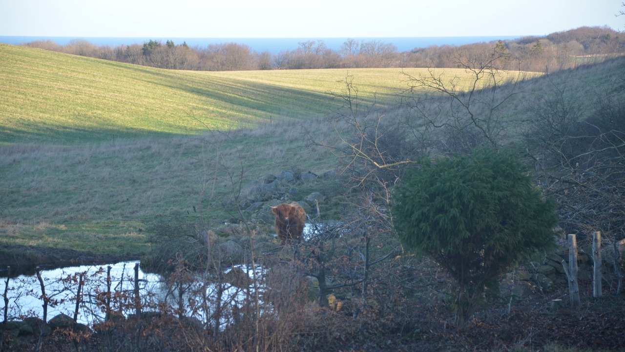 Photo of Others in Gudhjem