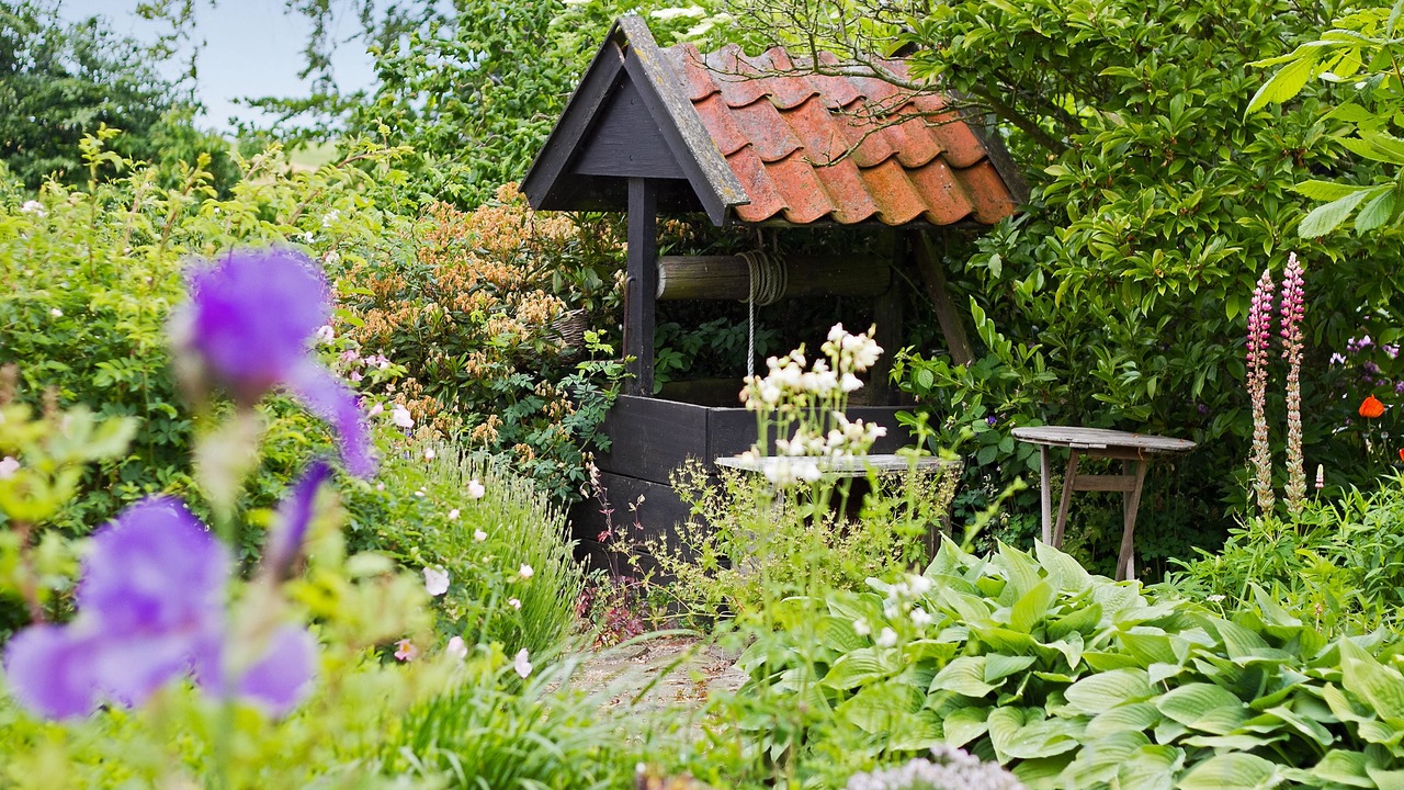 Photo of Others in Gudhjem