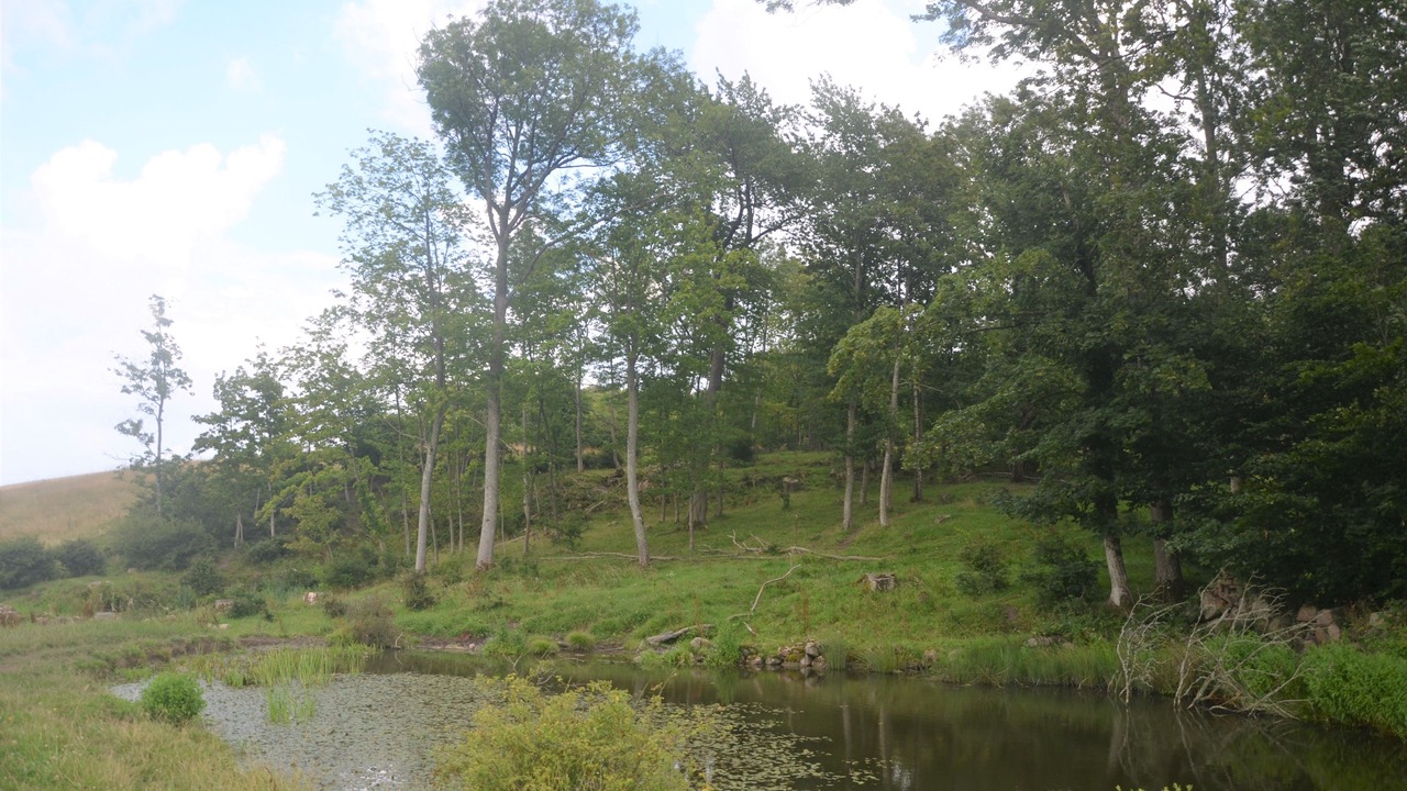 Photo of Outdoor in Gudhjem