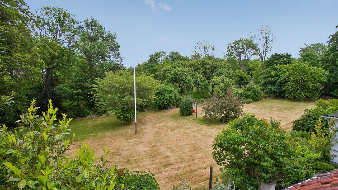 Photo of Others in Gudhjem