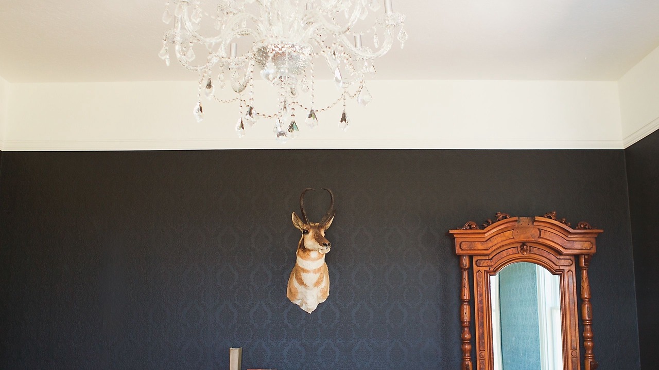 Photo of Others in Auburn