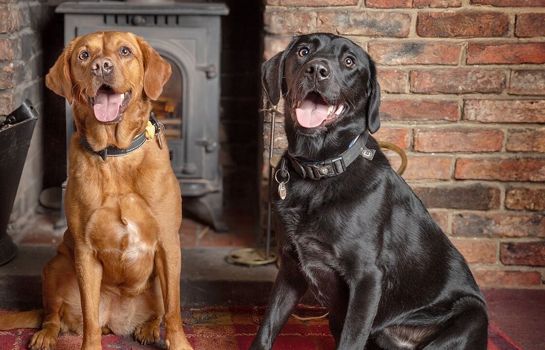 Photo of Others in Green Hammerton