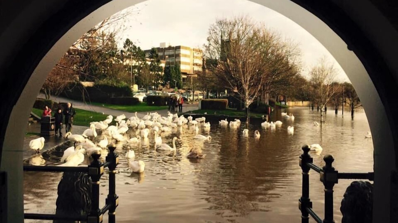 Photo of Others in Worcester