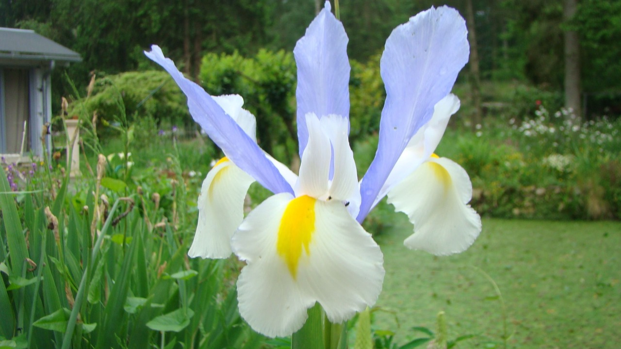 Photo of Others in Saint-Jean-aux-Bois