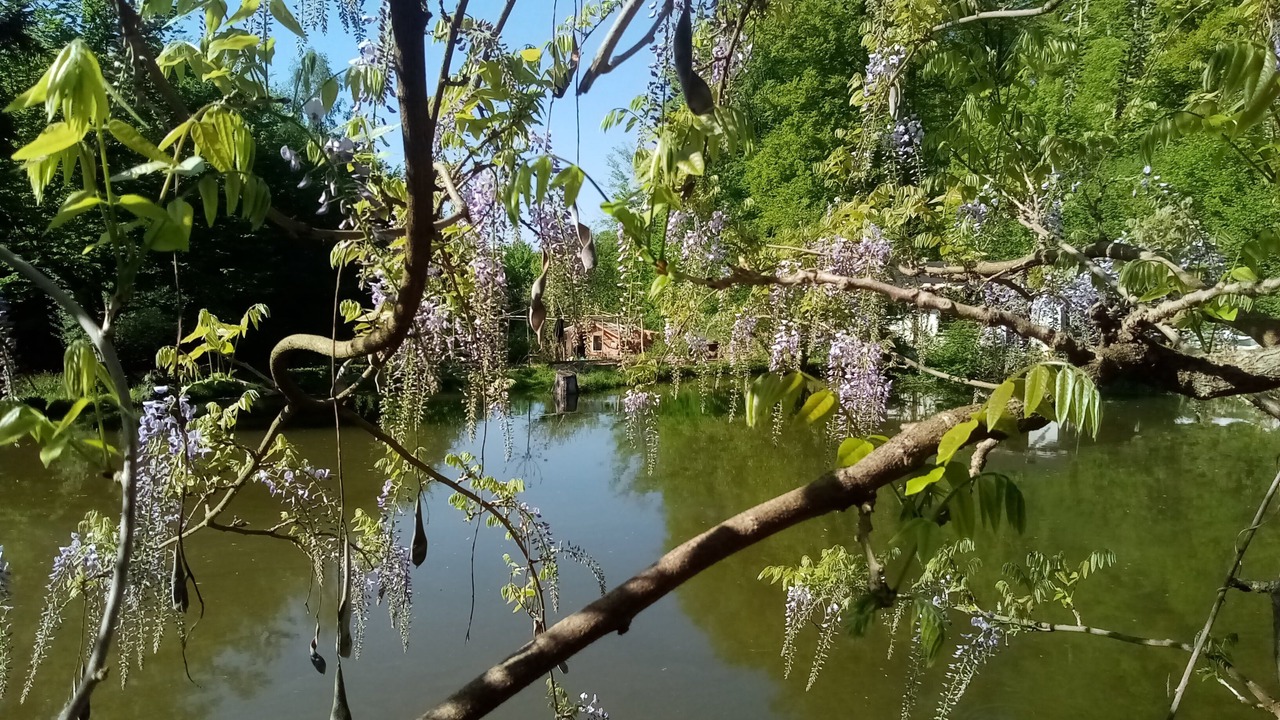 Photo of Outdoor in Saint-Jean-aux-Bois