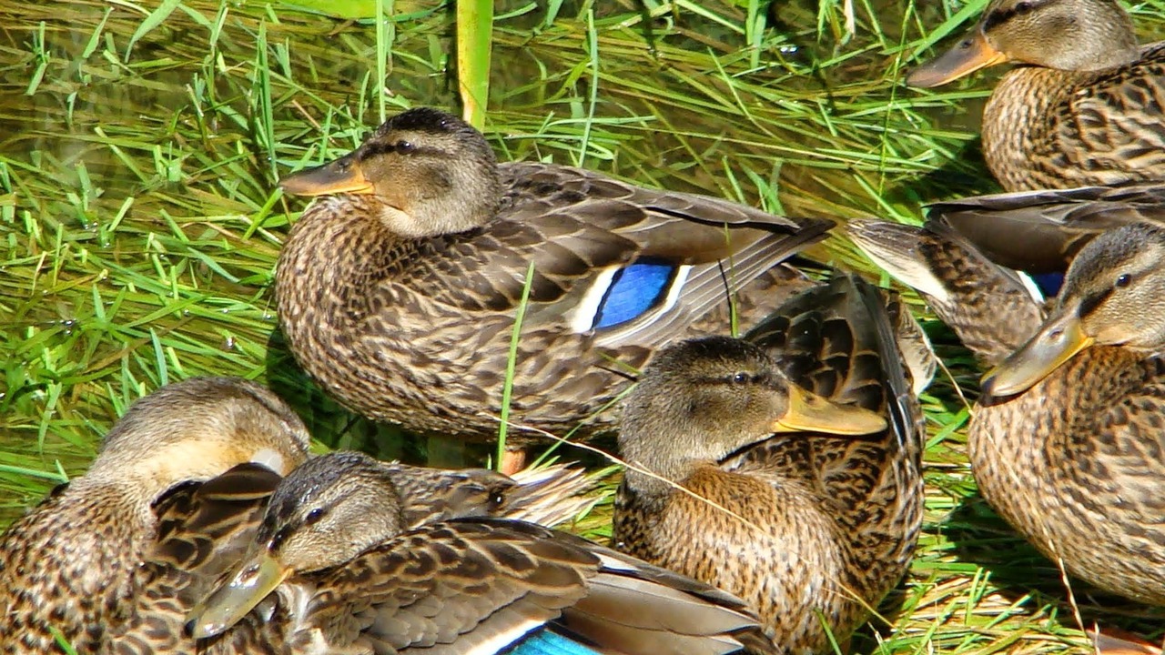 Photo of Outdoor in Saint-Jean-aux-Bois