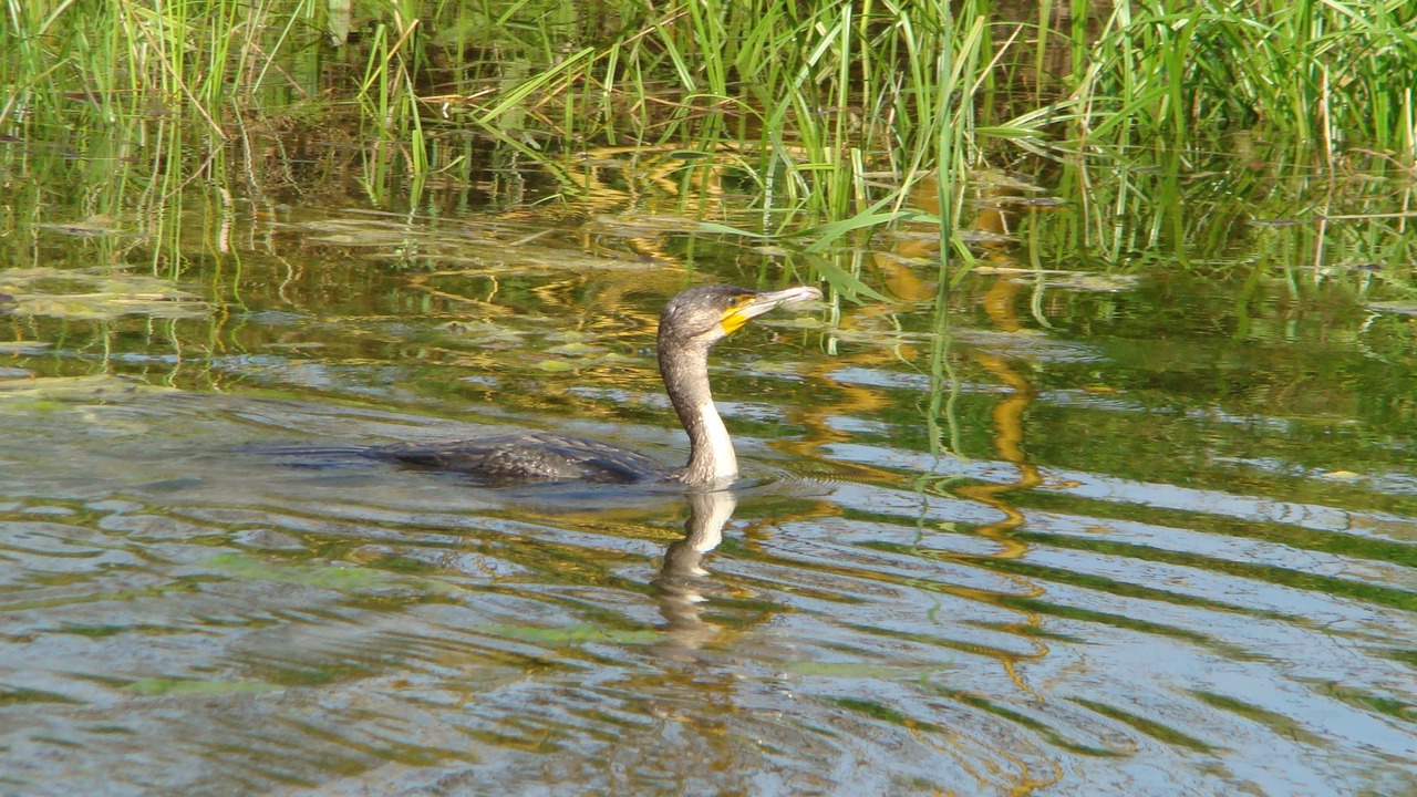 Photo of Outdoor in Saint-Jean-aux-Bois
