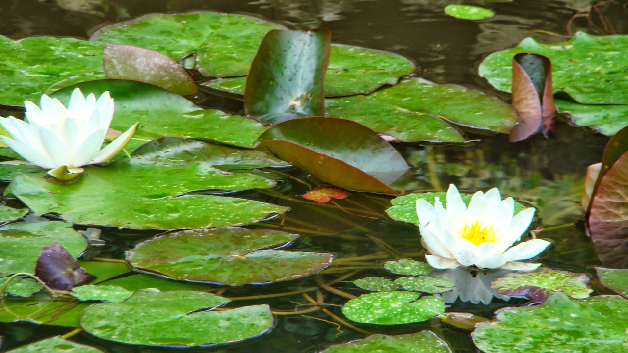 Photo of Outdoor in Saint-Jean-aux-Bois