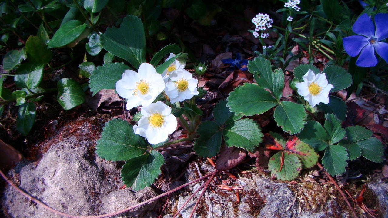 Photo of Outdoor in Saint-Jean-aux-Bois