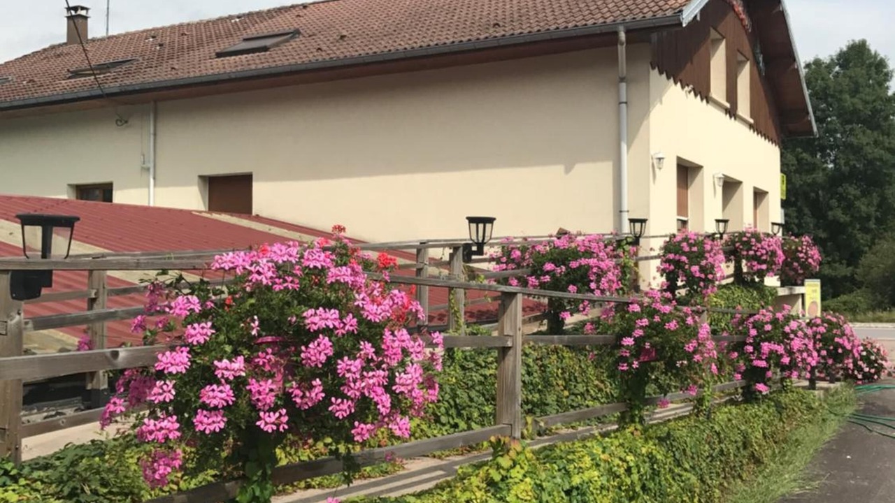 Photo of Outdoor in Tendon