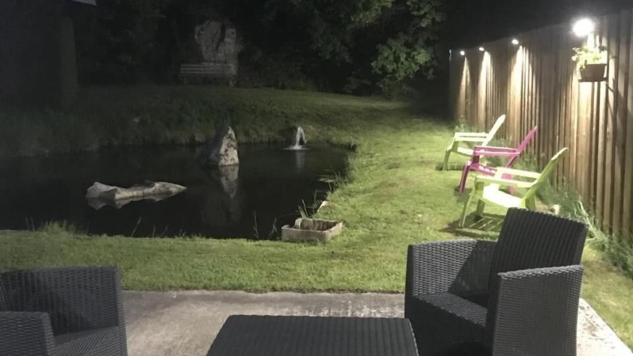 Photo of Others in Tendon