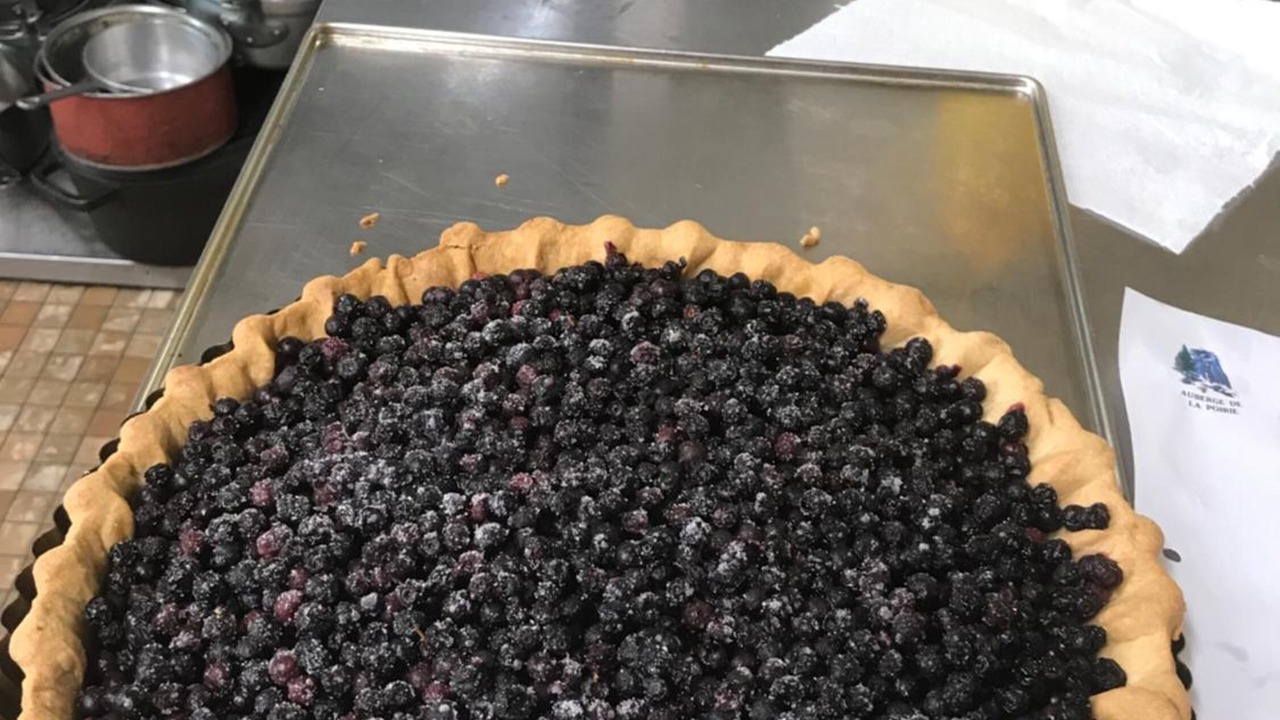 Photo of Others in Tendon