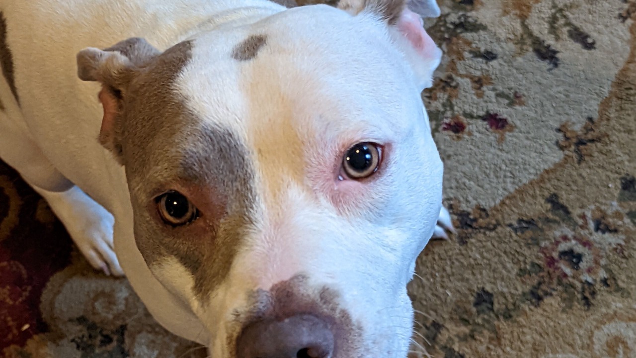 Photo of Livingroom in Benton Park