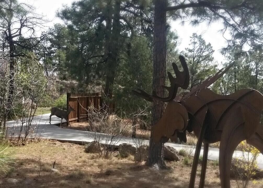 Photo of Outdoor in Los Alamos